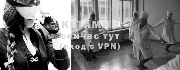 стаф Дмитров