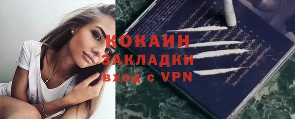 стаф Дмитров