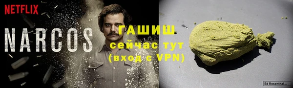 стаф Дмитров