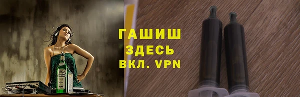 стаф Дмитров