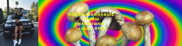 стаф Дмитров