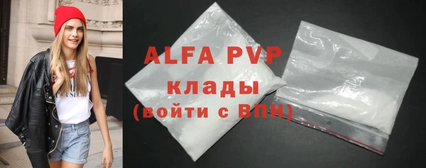 стаф Дмитров
