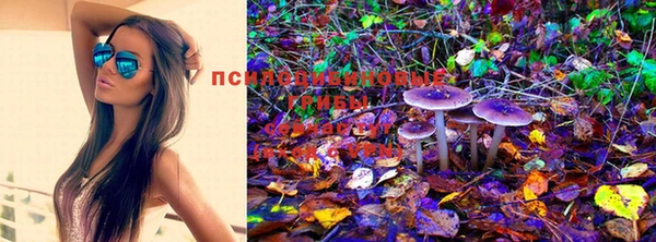 кокаин колумбия Дмитровск