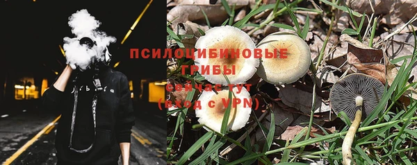 стаф Дмитров