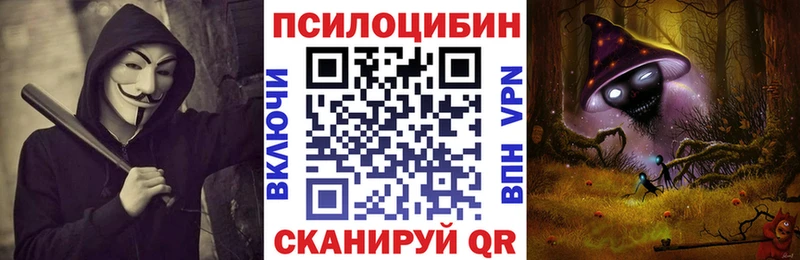 купить закладку  Нариманов  Галлюциногенные грибы GOLDEN TEACHER 